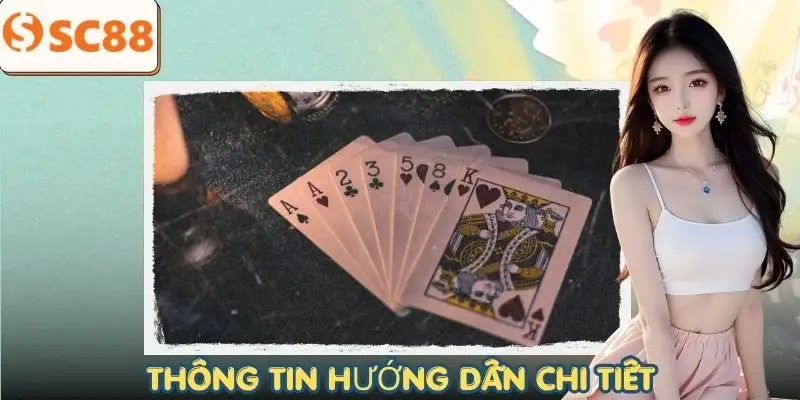 huong-dan-cung-cap-thong-tin